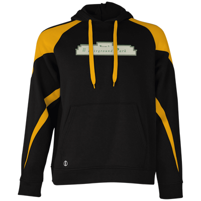 Fairground Park  229546 Colorblock Hoodie